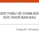 Bài giảng Tổ chức và quản lý hệ thống y tế - Chương 8: Giới thiệu về chăm sóc sức khỏe ban đầu