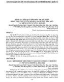 Đánh giá kết quả sớm điều trị sỏi thận bằng phẫu thuật tán sỏi qua da đường hầm nhỏ tại Bệnh viện Xuyên Á 2021-2022