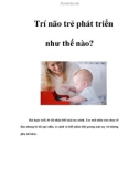 Trí não trẻ phát triển như thế nào?