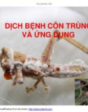 Bài giảng dịch bệnh côn trùng - Khái niệm