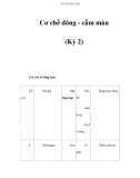 Cơ chế đông - cầm máu (Kỳ 2)