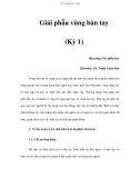 Giải phẫu vùng bàn tay (Kỳ 1)