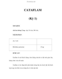 CATAFLAM (Kỳ 1)