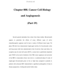 Chapter 080. Cancer Cell Biology and Angiogenesis (Part 19)