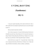 U VÀNG, BAN VÀNG (Xanthomas) (Kỳ 1)