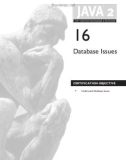 Chapter 16: Database Issues