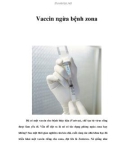 Vaccin ngừa bệnh zona