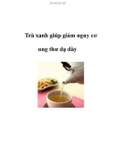 Trà xanh giúp giảm nguy cơ ung thư dạ dày