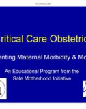 Critical Care ObstetricsPreventing Maternal Morbidity & MortalityAn Educational Program from the