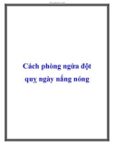 Cách phòng ngừa đột quỵ ngày nắng nóng