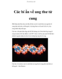 Các bí ẩn về ung thư tử cung