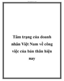 Tâm trạng của doanh nhân Việt Nam về công việc của bản thân hiện nay