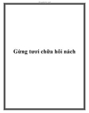 Gừng tươi chữa hôi nách