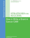 StrategieS for SucceSS: How to Write a Grant in Cancer CAM