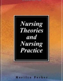 Nursing Theories and Nursing Practice