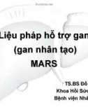 Liệu pháp hỗ trợ gan ( gan nhân tạo )