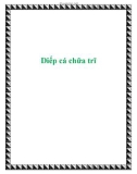 Diếp cá chữa trĩ