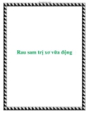 Rau sam trị xơ vữa động