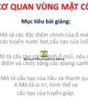 Bài giảng Cơ quan vùng mặt cổ