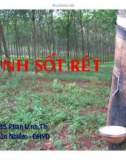 Bài giảng Bệnh sốt rét - BS. Phan Vĩnh Thọ