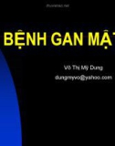 Bài giảng Bệnh gan mật - GV. Võ Thị Mỹ Dung