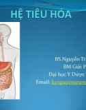 Bài giảng Hệ tiêu hóa - BS.Nguyễn Trường Kỳ