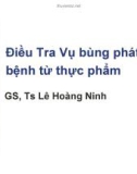 Bài giảng Điều tra vụ bùng phát bệnh từ thực phẩm - GS.TS. Lê Hoàng Ninh