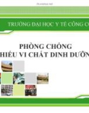 Bài giảng Dinh dưỡng an toàn vệ sinh thực phẩm: Phòng chống thiếu vi chất dinh dưỡng - ĐH Y tế công cộng