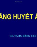 Bài giảng Tăng huyết áp - TS. BS. Đặng Văn Phước