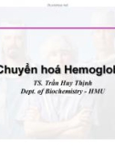 Bài giảng Chuyển hoá Hemoglobin - TS. Trần Huy Thịnh