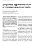 Deep learning of image representations with convolutional neural networks autoencoder for image retrieval with relevance feedback