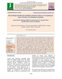 Bacteriological profile and antibiotic sensitivity pattern of uropathogens from a Tertiary care hospital in Kashmir