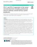 PD-L1 and PD-L2 expression in the tumor microenvironment including peritumoral tissue in primary central nervous system lymphoma