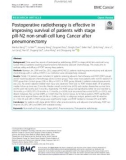 Postoperative radiotherapy is effective in improving survival of patients with stage pIII-N2 non-small-cell lung Cancer after pneumonectomy