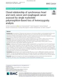 Clonal relationship of synchronous head and neck cancer and esophageal cancer assessed by single nucleotide polymorphism-based loss of heterozygosity analysis