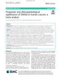 Prognostic and clinicopathological significance of SNHG6 in human cancers: A meta-analysis