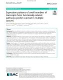 Expression patterns of small numbers of transcripts from functionally-related pathways predict survival in multiple cancers