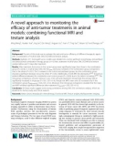 A novel approach to monitoring the efficacy of anti-tumor treatments in animal models: Combining functional MRI and texture analysis