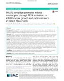 MASTL inhibition promotes mitotic catastrophe through PP2A activation to inhibit cancer growth and radioresistance in breast cancer cells