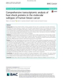 Comprehensive transcriptomic analysis of heat shock proteins in the molecular subtypes of human breast cancer