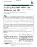 GLUT-1 expression is largely unrelated to both hypoxia and the Warburg phenotype in squamous cell carcinomas of the vulva