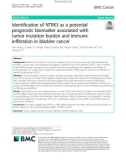 Identification of NTRK3 as a potential prognostic biomarker associated with tumor mutation burden and immune infiltration in bladder cancer