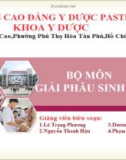 Bài giảng Giải phẫu sinh lý: Giải phẫu hệ tiêu hóa