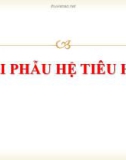 Bài giảng Giải phẫu hệ tiêu hóa