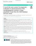 A novel risk score system for prognostic evaluation in adenocarcinoma of the oesophagogastric junction: A large population study from the SEER database and our center