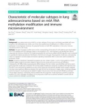 Characteristic of molecular subtypes in lung adenocarcinoma based on m6A RNA methylation modification and immune microenvironment