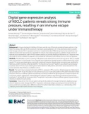 Digital gene expression analysis of NSCLC-patients reveals strong immune pressure, resulting in an immune escape under immunotherapy