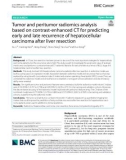 Tumor and peritumor radiomics analysis based on contrast-enhanced CT for predicting early and late recurrence of hepatocellular carcinoma after liver resection