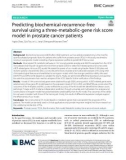 Predicting biochemical-recurrence-free survival using a three-metabolic-gene risk score model in prostate cancer patients