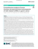 Comprehensive analysis of tumor immune microenvironment and prognosis of m6A-related lncRNAs in gastric cancer